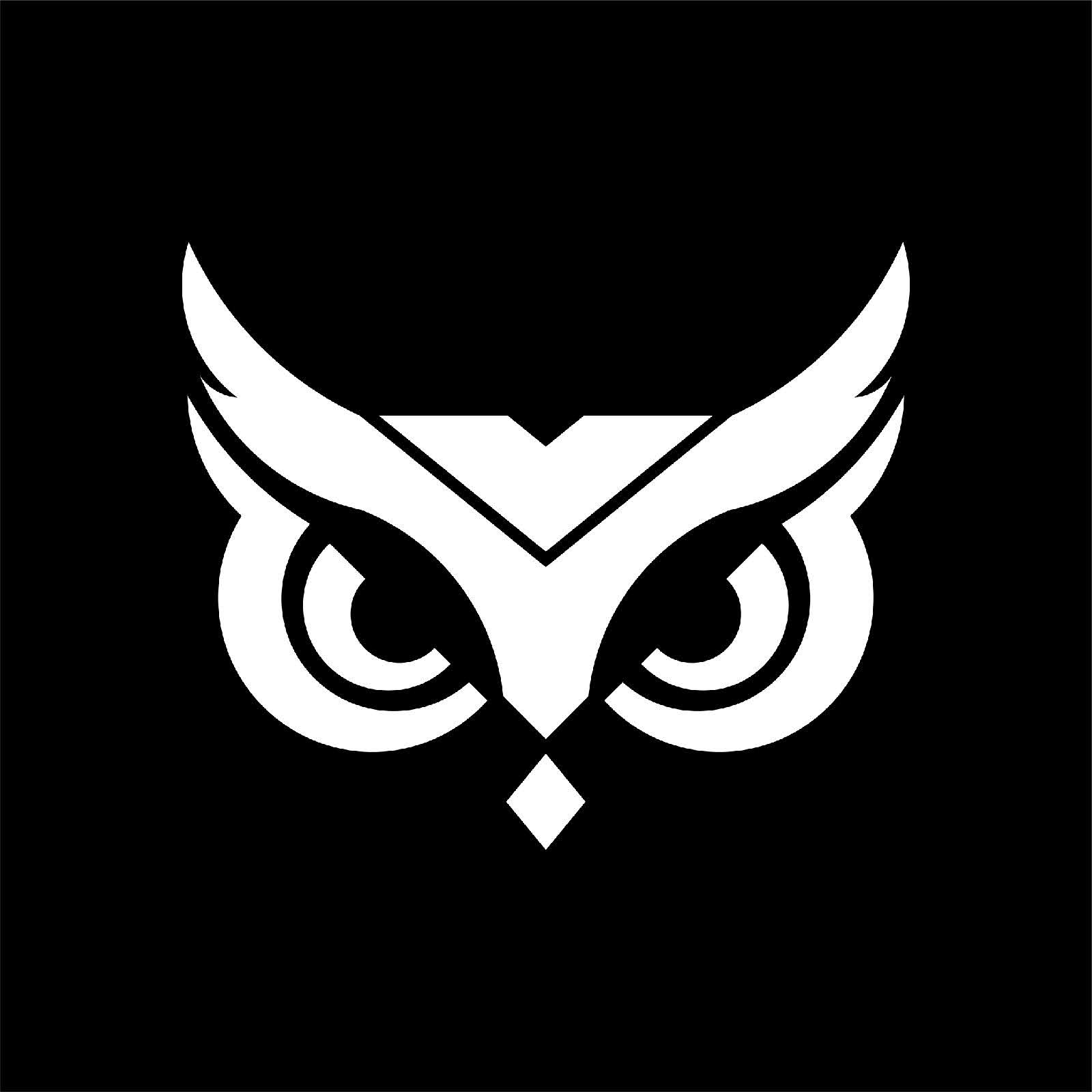 Logo OwlTechnology preto e branco